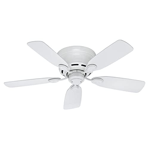 Hunter Fan Company 51059 Indoor Low Profile IV Ceiling Fan with Pull Chain Control, 42', White...