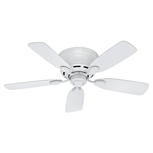 Hunter Fan Company 51059 Hunter Indoor Low Profile IV Ceiling Fan with Pull Chain Control, 42',...