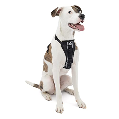 Kurgo Dog Harness | Pet Walking Harness | Medium | Black | No Pull Harness Front Clip Feature for...