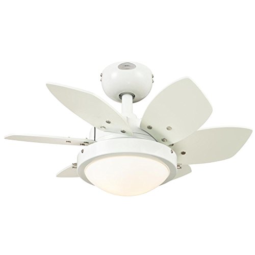 Westinghouse Quince 24-Inch Indoor Ceiling Fan with Dimmable LED Light Fixture 6 White Finish with...