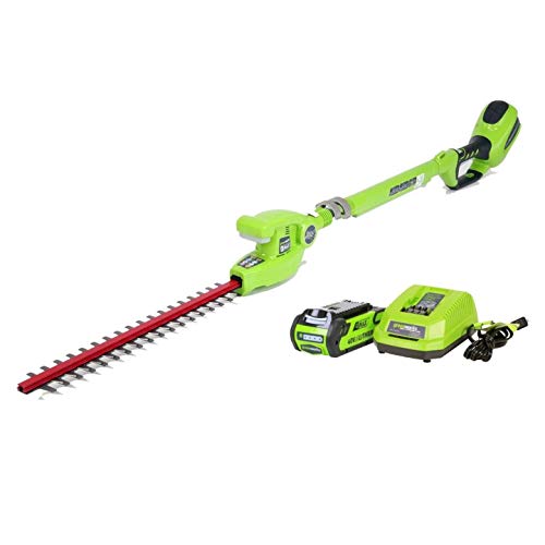 Greenworks 40V 20-Inch Cordless Pole Hedge Trimmer, 2.0 AH Battery Included, 22272