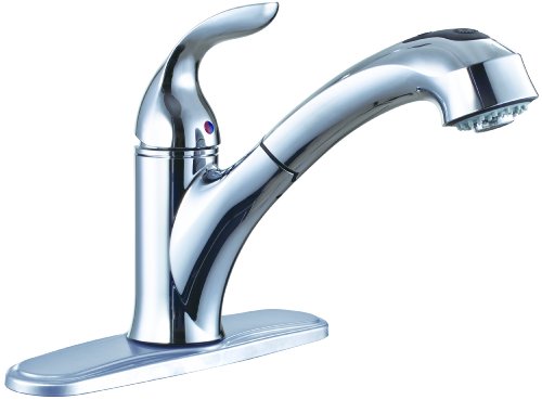 Premier 126969 Waterfront Single-Handle Kitchen Faucet with Pull-Out Spout, Chrome