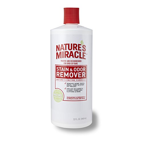 Nature's Miracle Stain & Odor Remover, 32-Ounce Pour Bottle (5125)