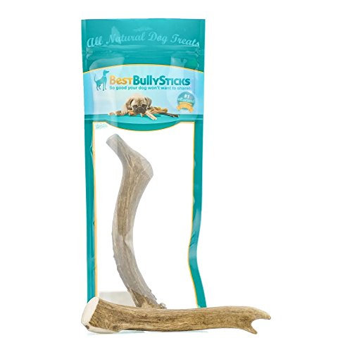 Best Bully Sticks USA 8-9 Inch Deer Antler Dog Chew (1 Antler)