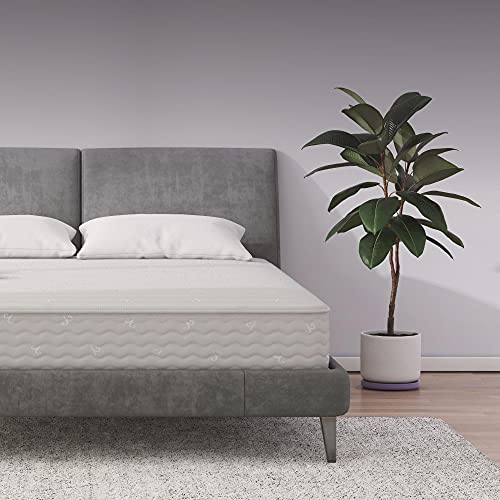 Signature Sleep Contour 8' Reversible Mattress, Independently Encased Coils, Bed-in-a-Box, Queen
