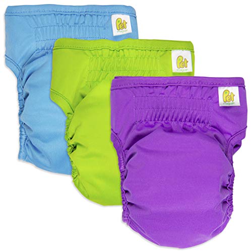Pet Magasin Reusable Female Dog Diapers Panties, 3 Pack, Blue Green & Purple, Small