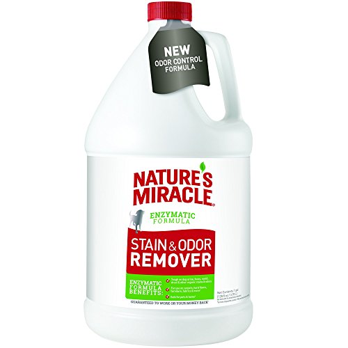Nature's Miracle Stain & Odor Remover Gallon (512504)