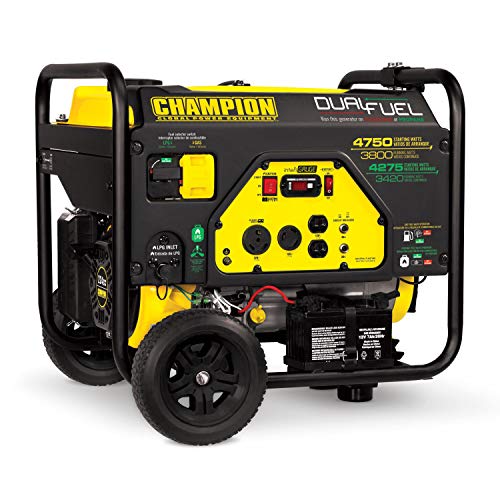 Champion Power Equipment 76533 4750/3800-Watt Dual Fuel RV Ready Portable Generator with Electric...