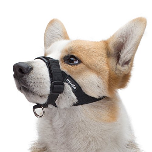 FOMATE Dog Muzzle, Quick fit Gentle Head Collar Walk Training Loop Stop Pulling Halter, Black Small