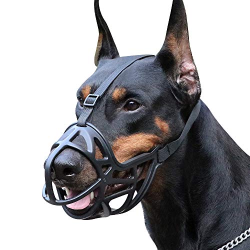 Top 10 Best Dog Muzzle for Small Dogs of 2021 Review Our Great Products