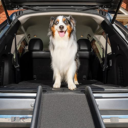 PetSafe Happy Ride Folding Pet Ramp, 62 Inch, Portable Lightweight Dog and Cat Ramp, Great for Cars,...