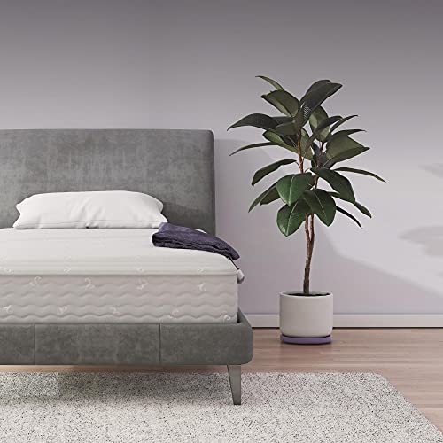 Signature Sleep Contour 8' Reversible Mattress, Independently Encased Coils, Bed-in-a-Box, Twin