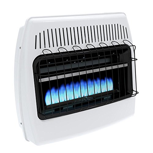 Dyna-Glo BF30PMDG 30,000 BTU Liquid Propane Blue Flame Vent Free Wall Heater