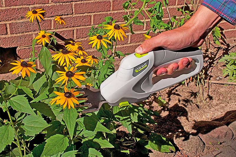 Top 10 Best Electric Pruning Shears of 2023 Review