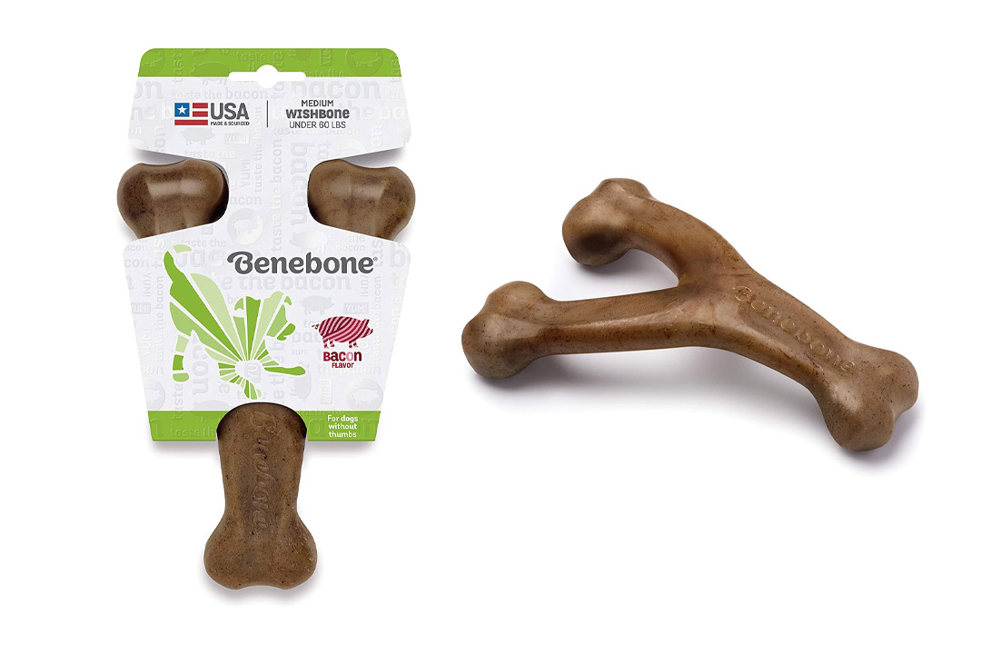 Benebone Bacon Flavored Wishbone Chew Toy