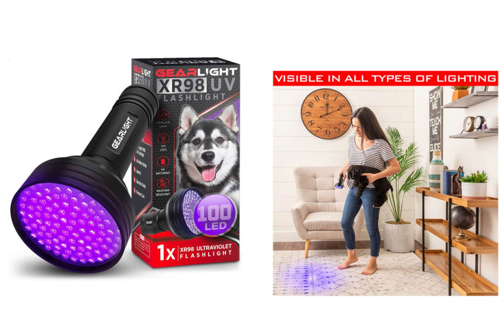 Top 10 Best Pet Urine Detectors for Dogs of 2022 Review Our Great