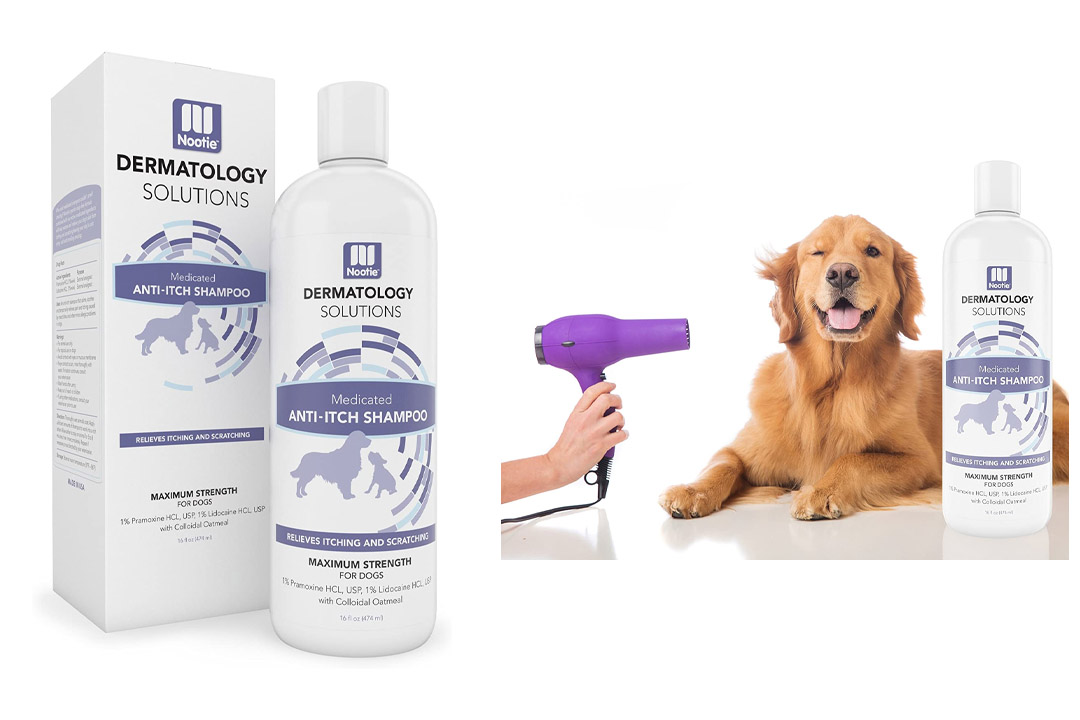 Dog Shampoo Oatmeal Medicated