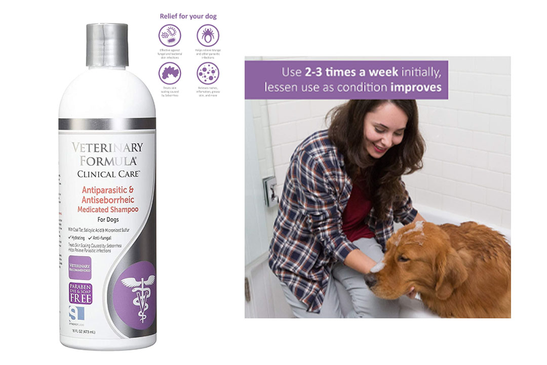 SynergyLabs Veterinary Formula Clinical Care