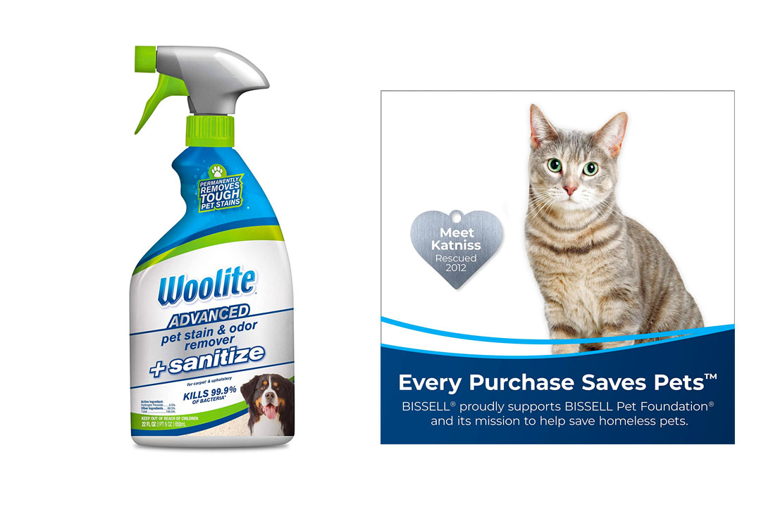 Woolite Advanced Pet Sanitize