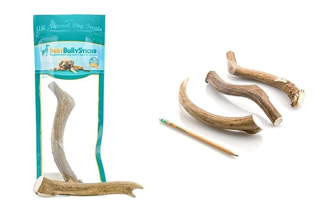 Grade-A Elk and Deer Antler Dog Chews by Best Bully Sticks (1 Pack)