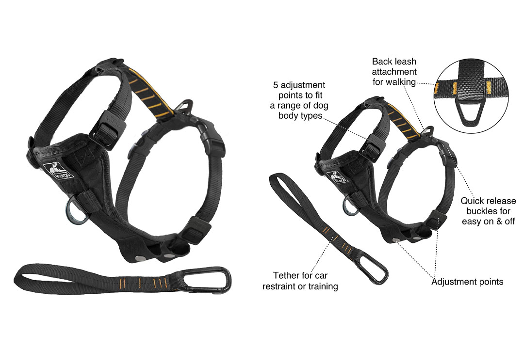 Kurgo Tru-Fit No Pull Dog Harness and Easy Dog Walking Harness with Pet Seatbelt Tether for Car