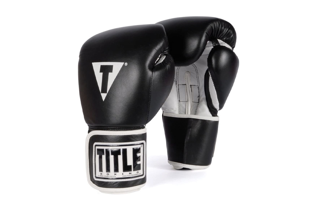 TITLE Boxing Training Gloves
