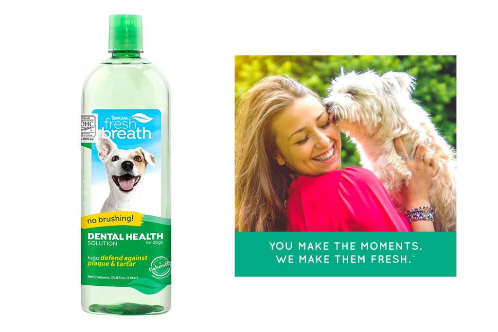 Top 10 Best Dog Breath Freshener of 2024 Review Our Great Products