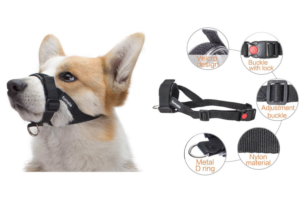 Top 10 Best Dog Muzzle for Small Dogs of 2024 Review Our Great Products