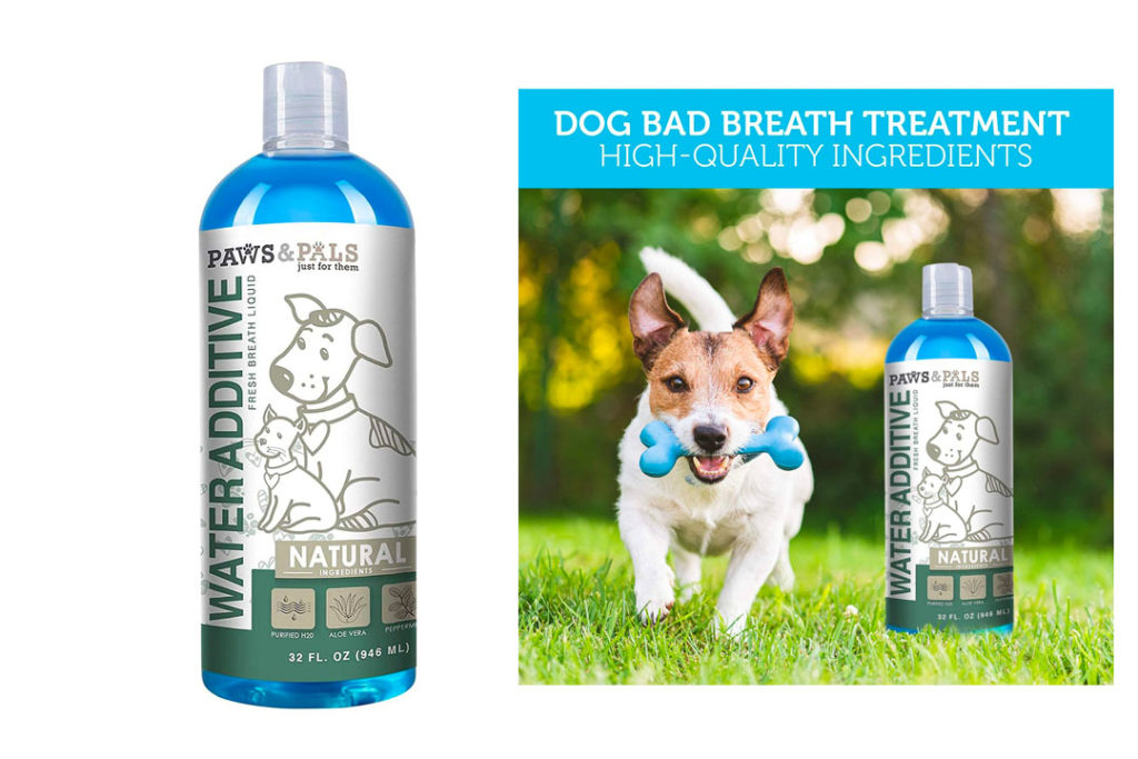 Top 10 Best Dog Breath Freshener of 2024 Review Our Great Products