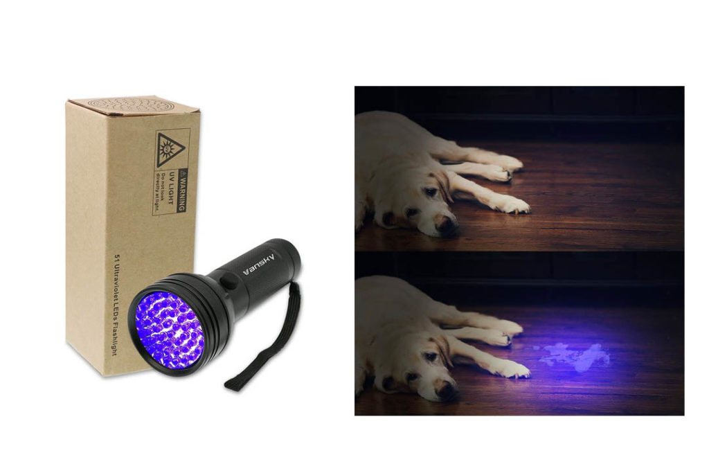 Top 10 Best Pet Urine Detectors for Dogs of 2022 Review Our Great