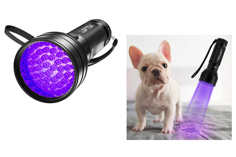 Top 10 Best Pet Urine Detectors for Dogs of 2022 Review Our Great