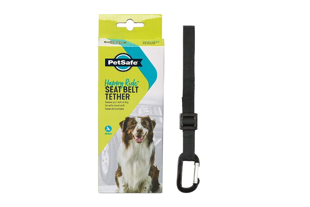 PetSafe Solvit Deluxe Car Safety Tether, Adjustable Tether Works With PetSafe Harness