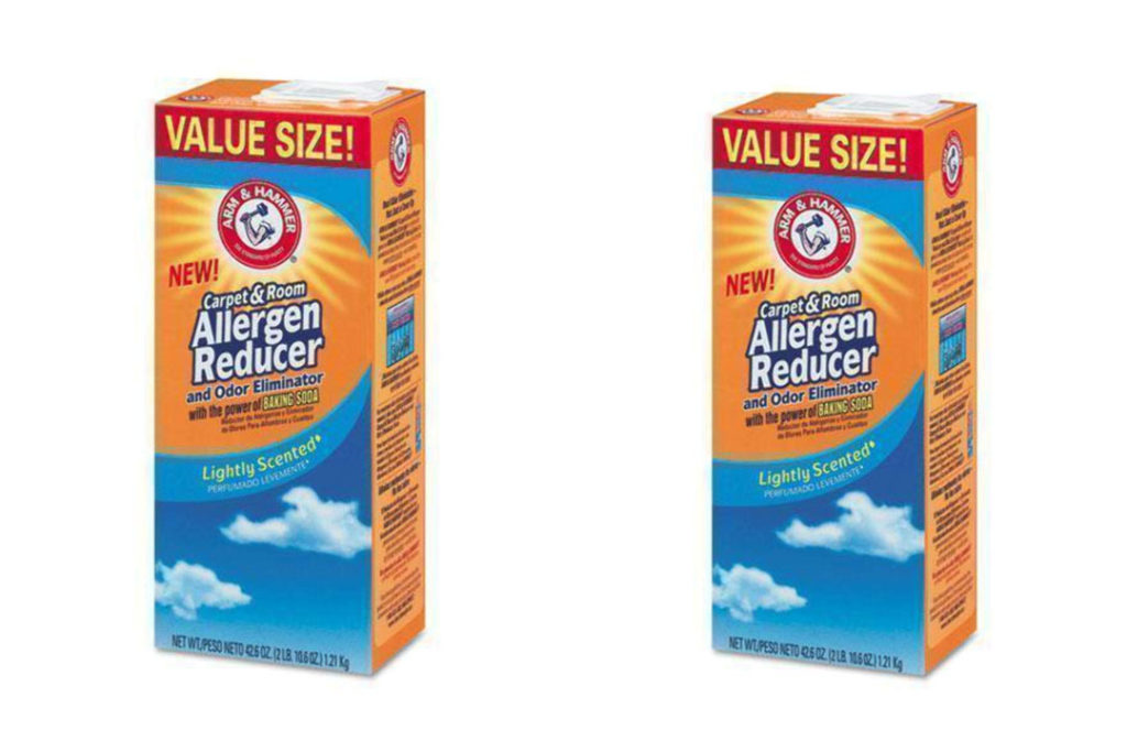 Top 10 Best Carpet Deodorizer for Pet Urine of 2024 Review Our Great