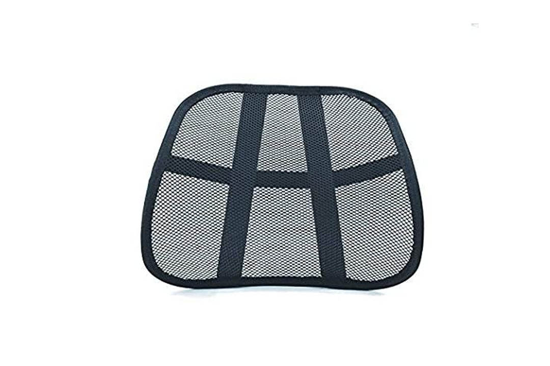 Easy Posture Lumbar Back Support Mesh