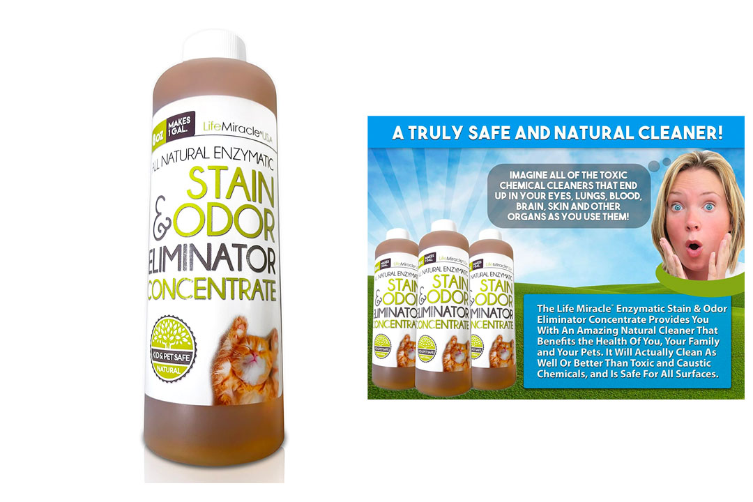 Enzyme Cleaner CONCENTRATE